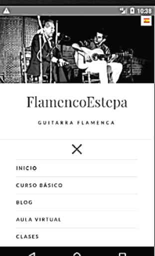 Clases Guitarra Flamenca 4