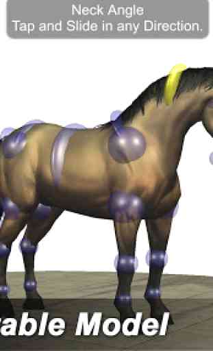 Horse Mannequin 2