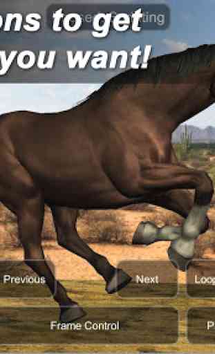 Horse Mannequin 3