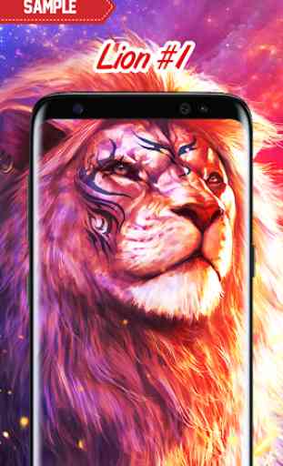 Lion Wallpaper 2