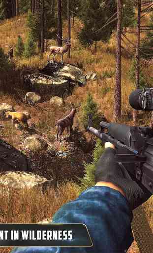 Animal Hunter : Jungle Sniper Shooting 1