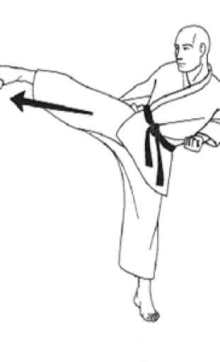 apprendre le kung fu 3