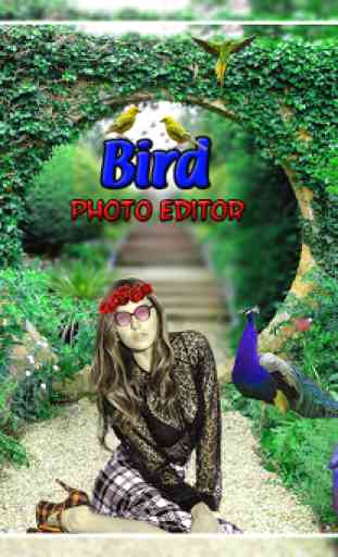 Bird Cut Paste Photo Editor 1