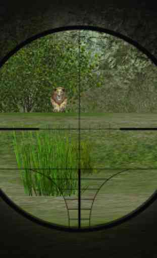 forêt sauvage lion chasse 4