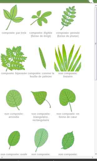 Identification des 3000 plantes, naturetouch 3