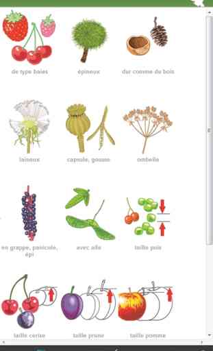 Identification des 3000 plantes, naturetouch 4