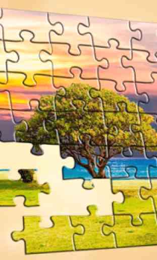 Les casse-têtes les puzzles 1