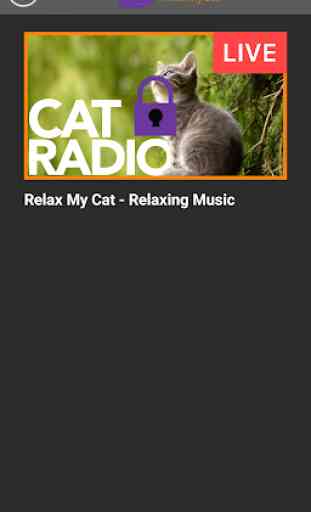 Relax My Cat - Musique relaxante et TV pour chats 2