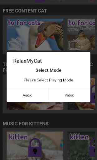 Relax My Cat - Musique relaxante et TV pour chats 3