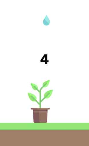 Tree Plant 4