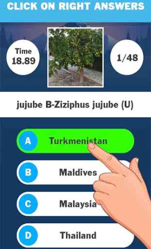 Tree Quiz Game - 2020 3