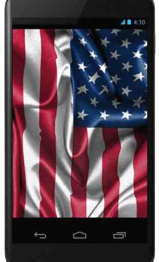 Flag of USA 3