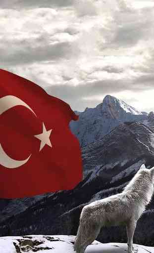 Fond d'écran drapeau turc 4