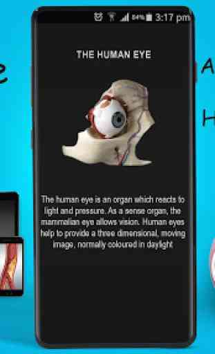 Human eye anatomy 3D 2