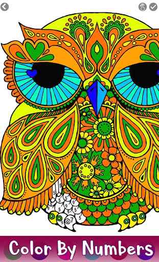 Owl Color by Number - Birds Coloring Book Pages 2