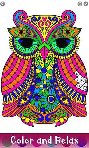 Owl Color by Number - Birds Coloring Book Pages 3