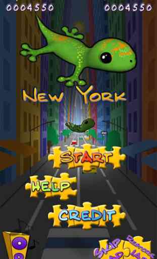 Acrobat Gecko New York 1