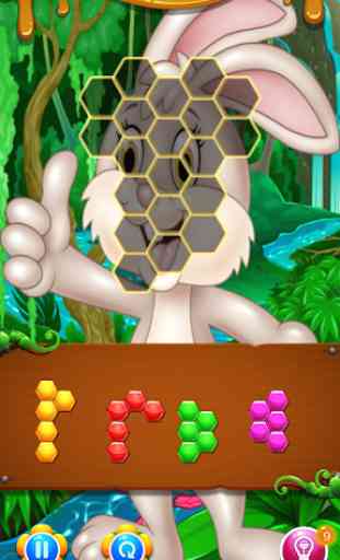Bunny Hexa Puzzle 3