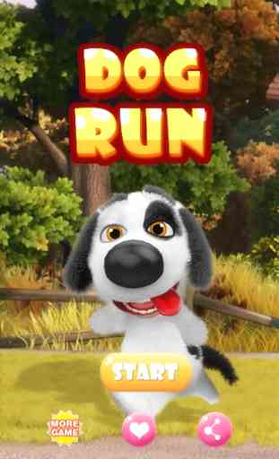 Dog Run 1