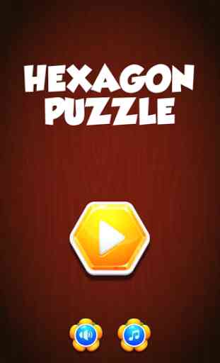 Hexa Jigsaw Puzzle 1