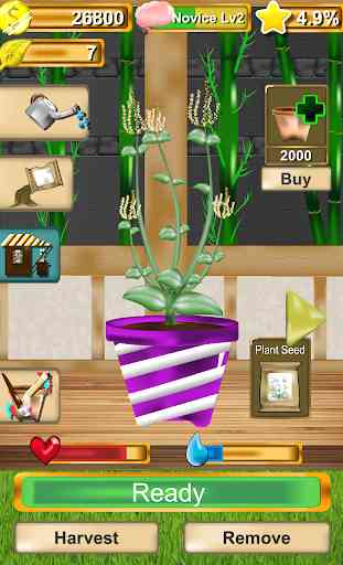 Plants Shop 2