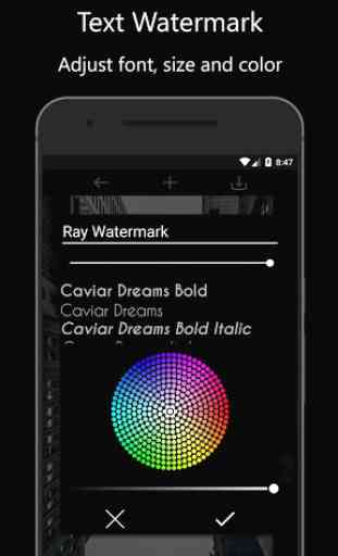 Ray Watermark - Watermark with QR, Logo, Text 2