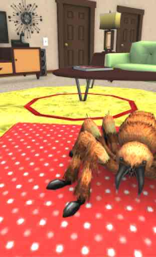 vie araignée animal de compagnie tarentule 3