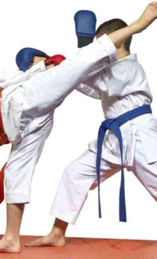 Apprenez les techniques de taekwondo 3
