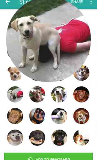 Cute Dog Stickers for WAStickerApps 3
