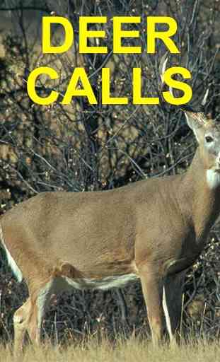 Deer Calls & Deer Hunting Call 3