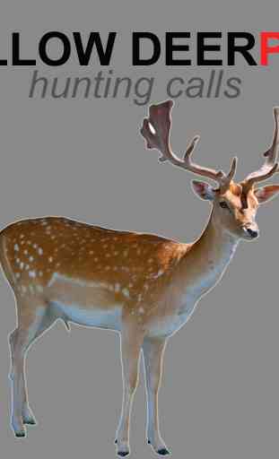 Fallow Deer Calls for Hunting 1