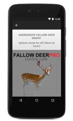 Fallow Deer Calls for Hunting 3