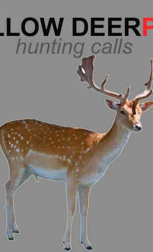 Fallow Deer Calls for Hunting 4