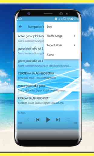 Jalak Kebo Gacor MP3 Offline 4