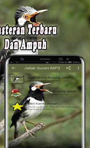Jalak Suren Gacor Offline 2