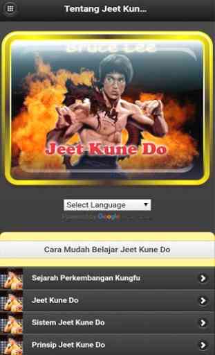Jeet Kune Do (JKD) 1