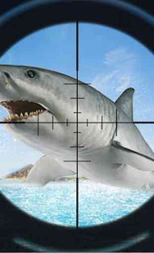 sauvetage d'attaque de requin 3