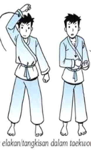 technique d'arts martiaux teakwondo 2