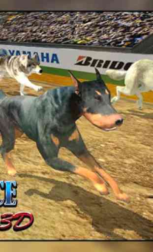 Dog Racing - Simulateur de course de chien 1