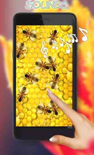 Honey and Bee live wallpaper 2