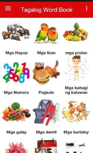 Tagalog Word Book 1
