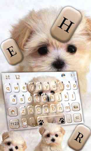 Thème de clavier Innocent Puppy 2