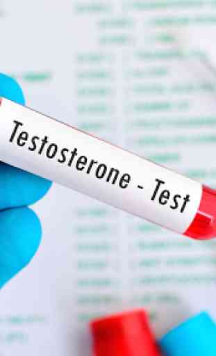 Augmenter votre testostérone 3