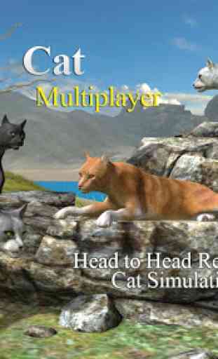 Cat Multiplayer 1