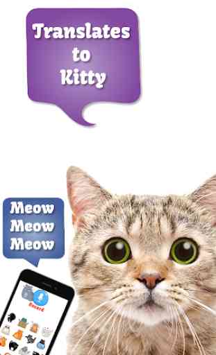 Cat Translate: Speak to your Kitten ( 2
