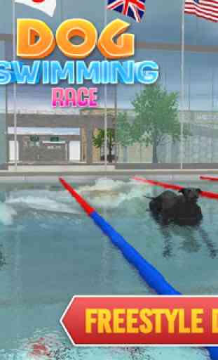 Chien d'animal domestique course de natation 3