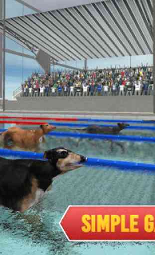 Chien d'animal domestique course de natation 4