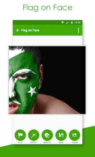 FlagFace - Pakistan PaintFace 2