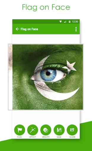 FlagFace - Pakistan PaintFace 3
