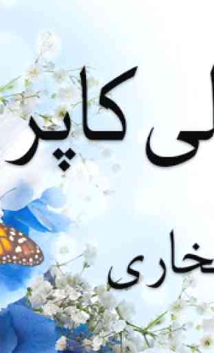 Ghar Titli Ke Par Urdu Novel 2